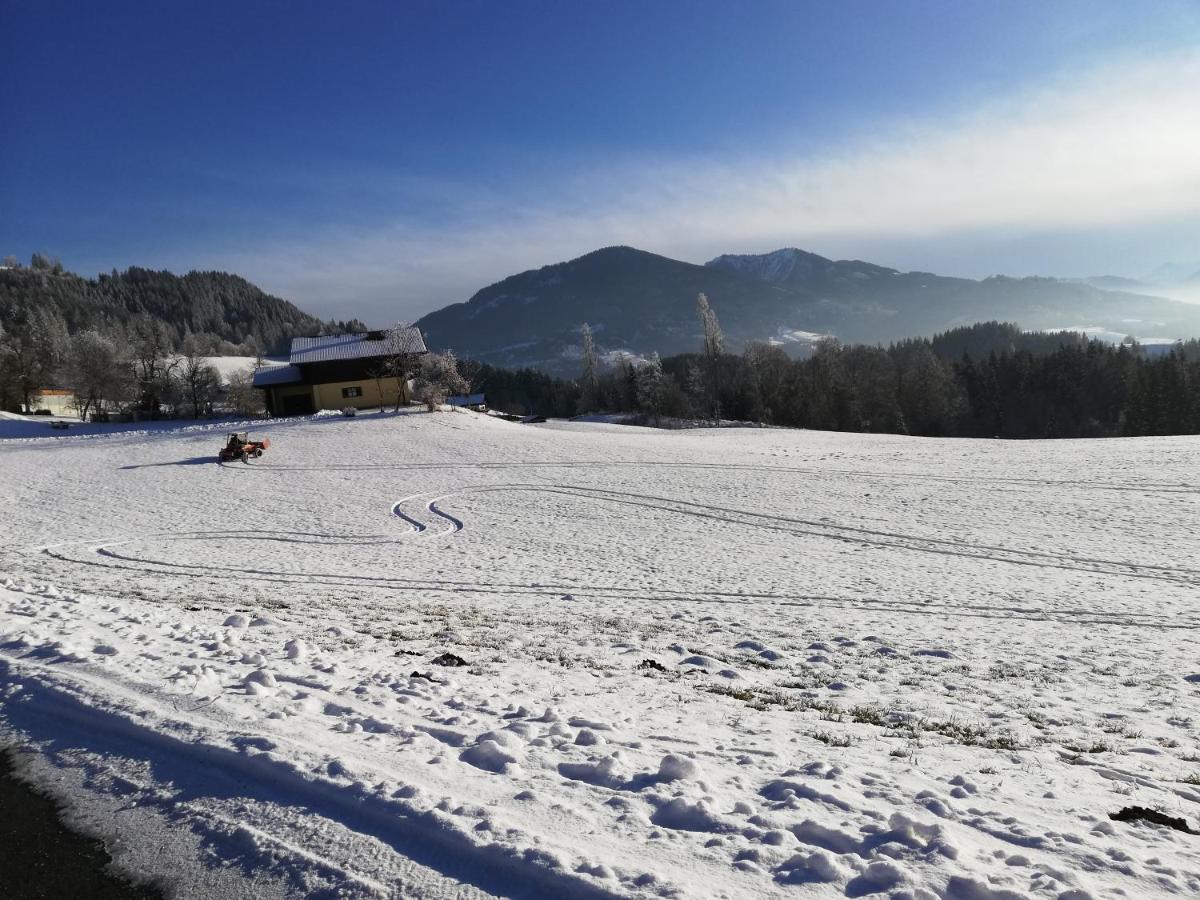 Appartement Steinerhof Werfenweng Exteriör bild
