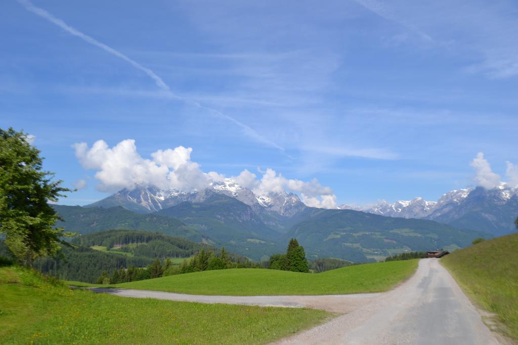 Appartement Steinerhof Werfenweng Rum bild